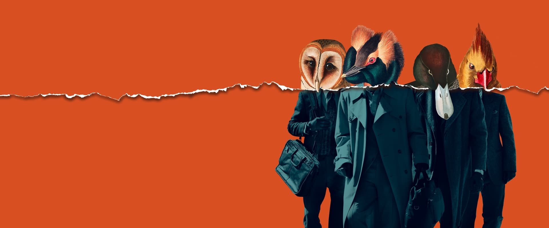 American Animals 2018