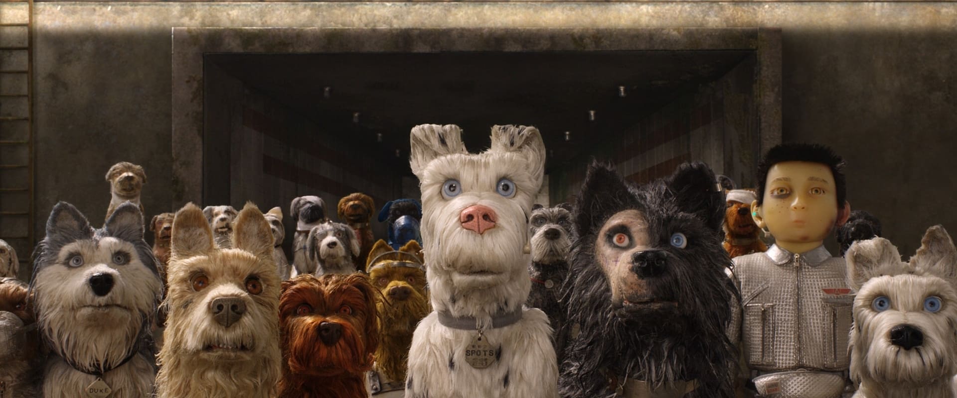 Isle of Dogs 2018