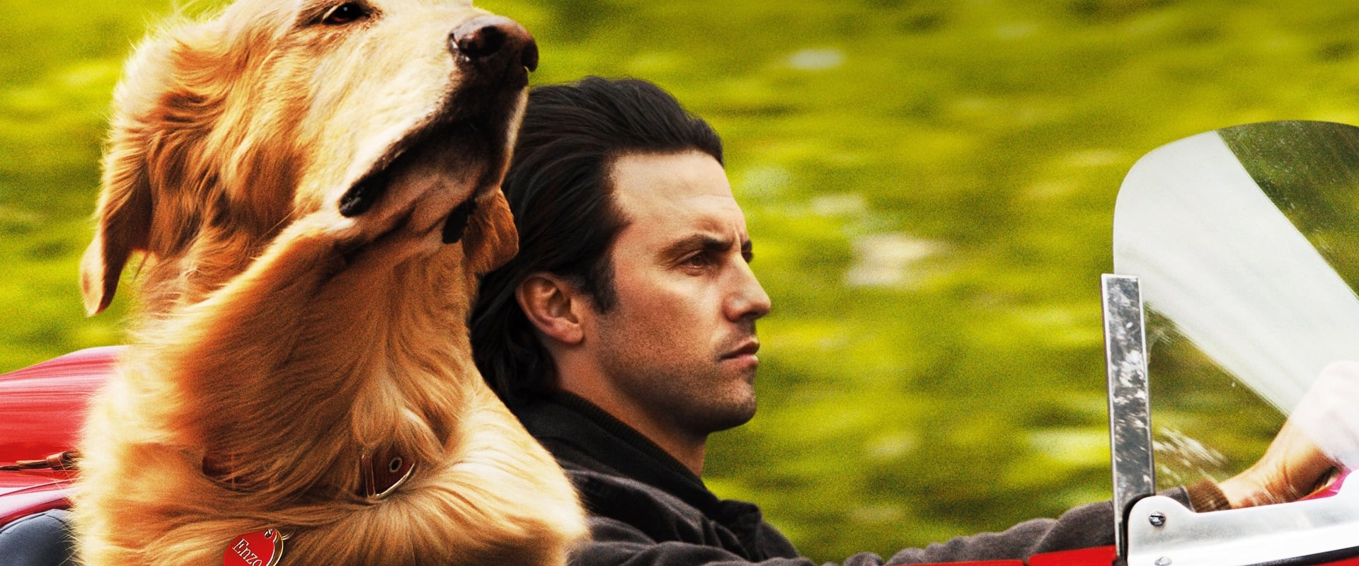 The Art of Racing in the Rain 2019