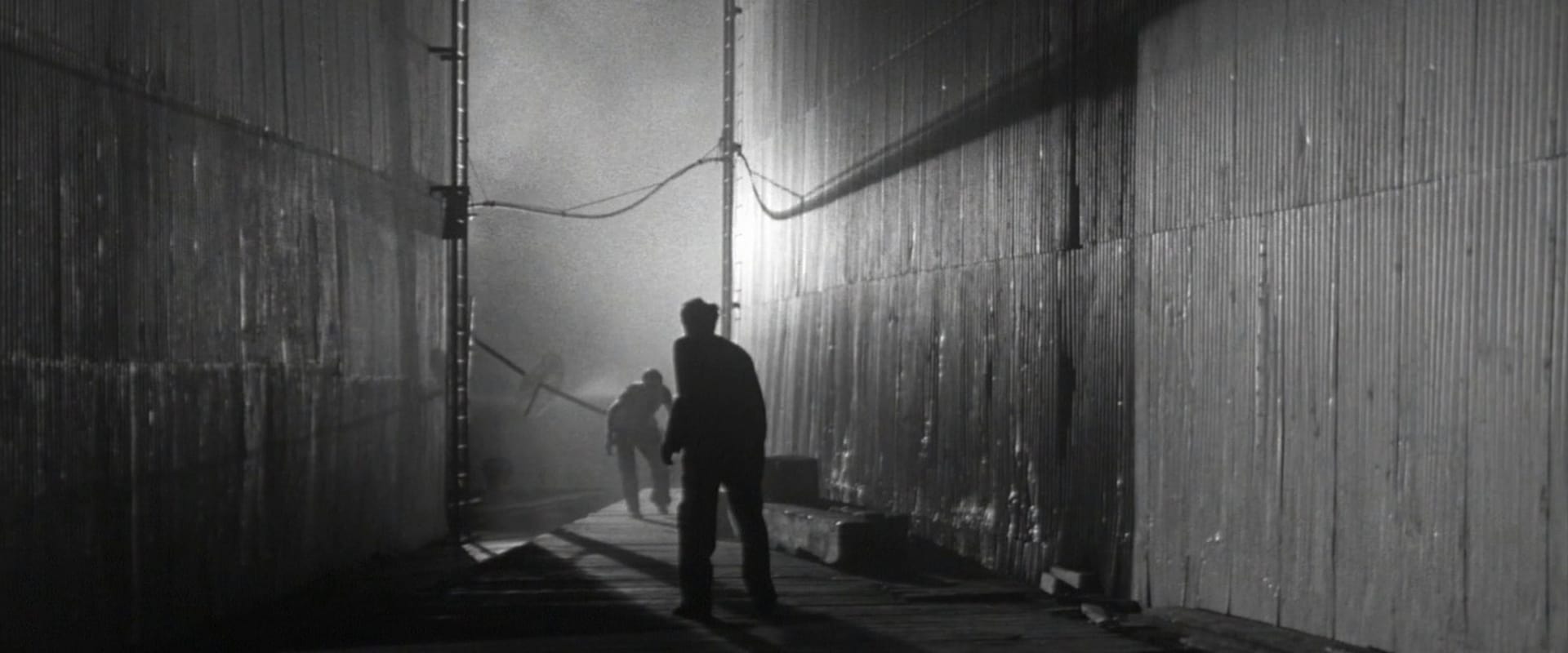 Panic in the Streets 1950