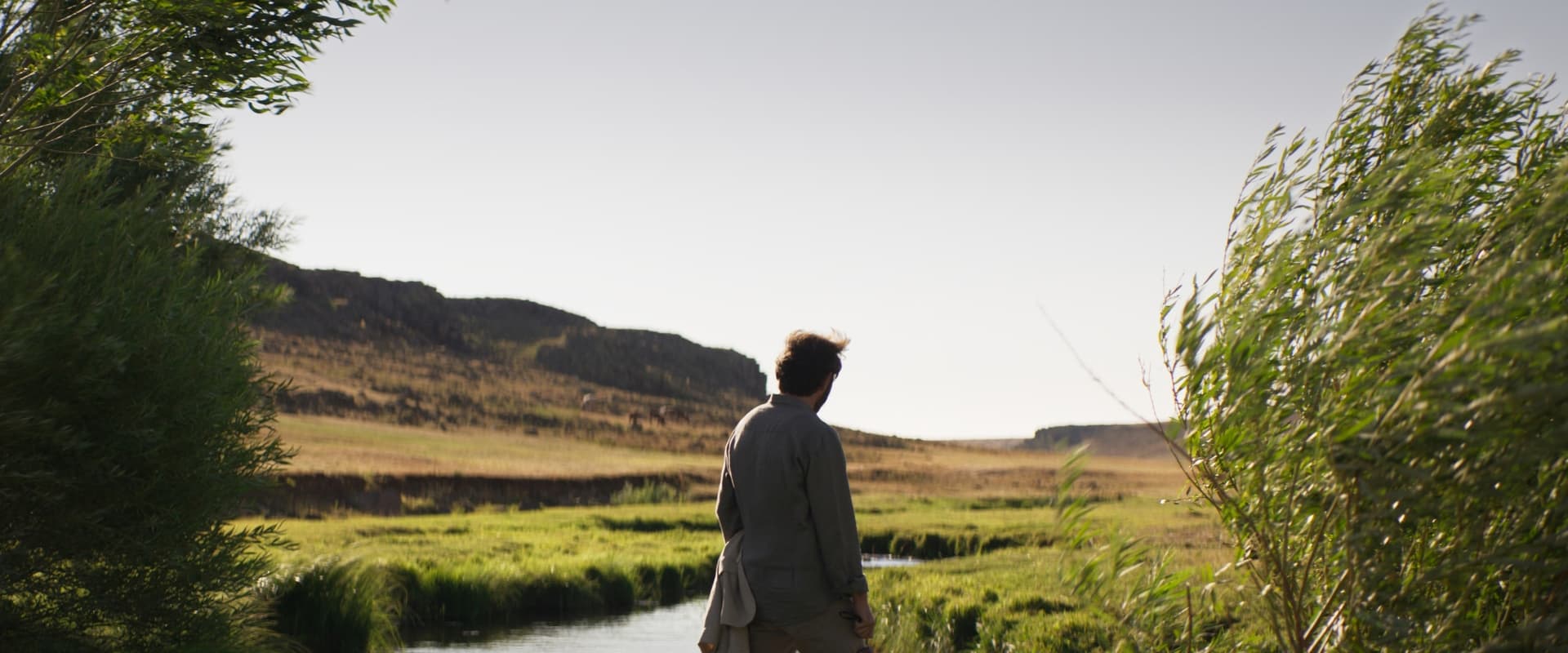 About Dry Grasses 2023