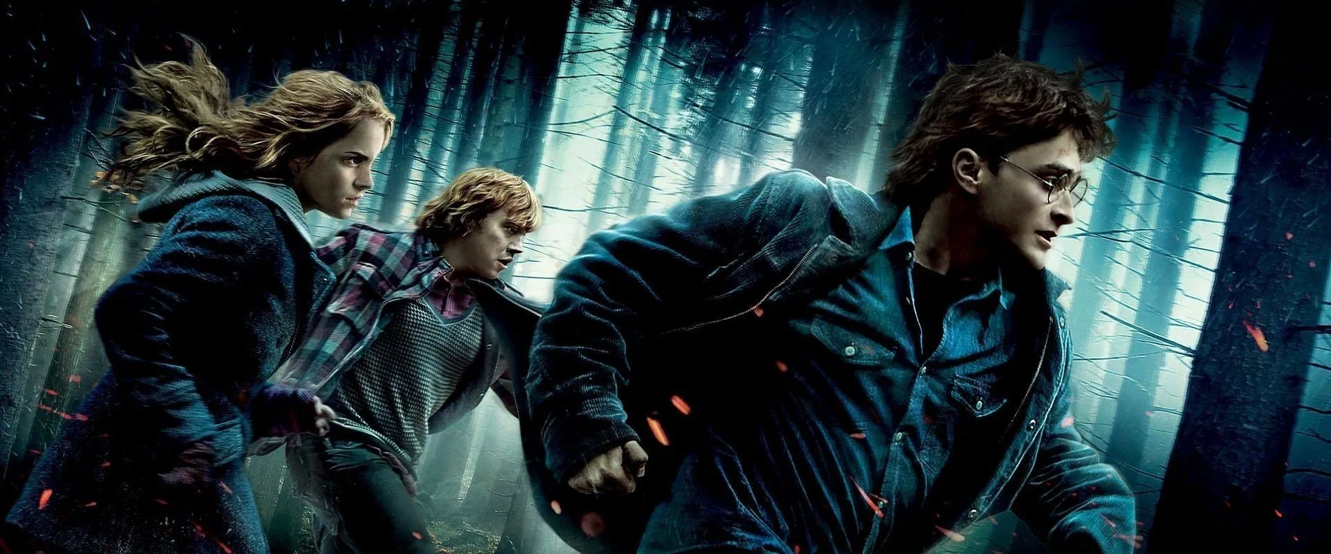 Harry Potter and the Deathly Hallows: Part 1 2010