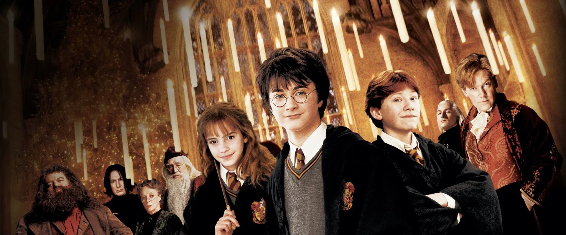 Harry Potter and the Chamber of Secrets 2002