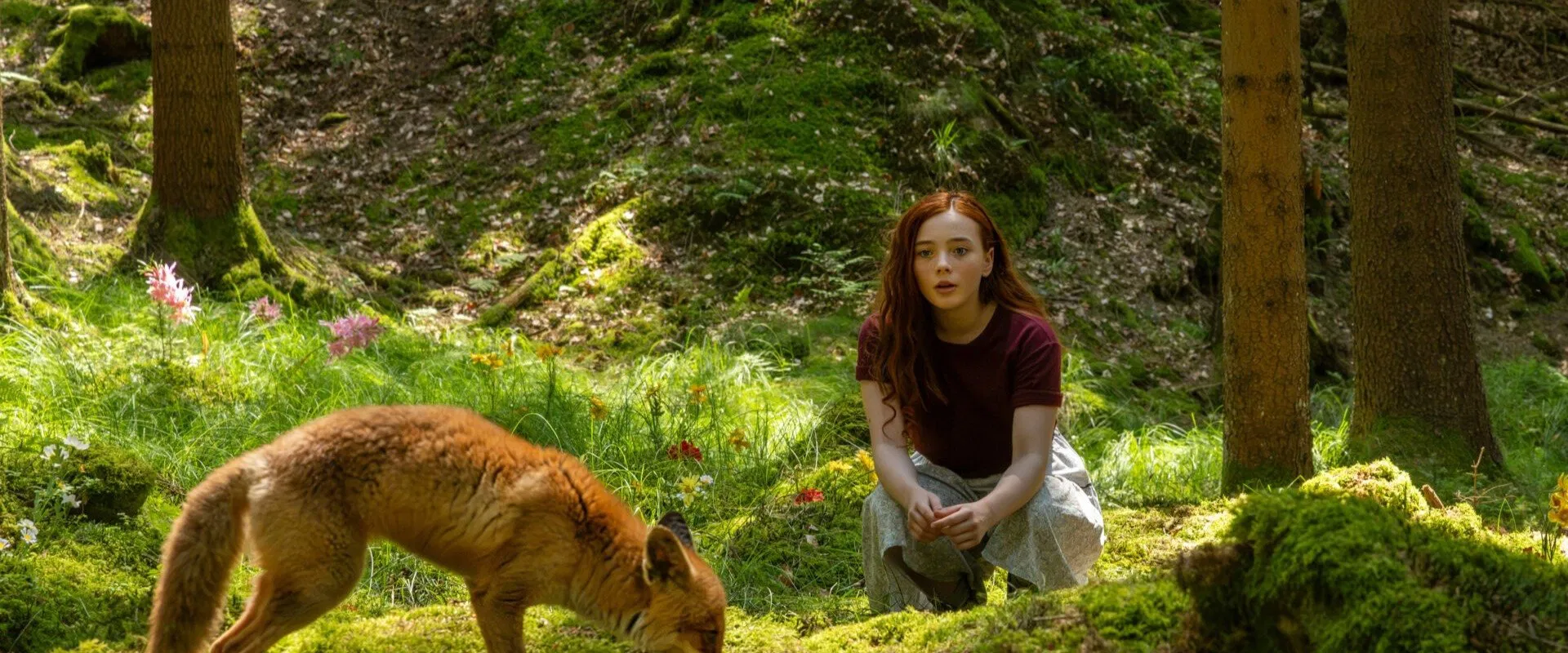 A Girl Named Willow 2025