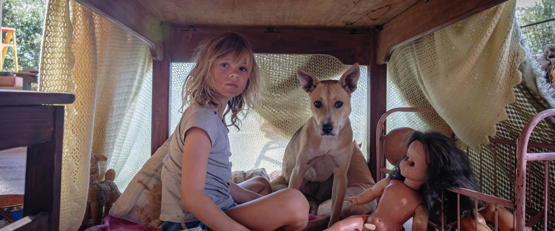 Don’t Let’s Go to the Dogs Tonight 2024