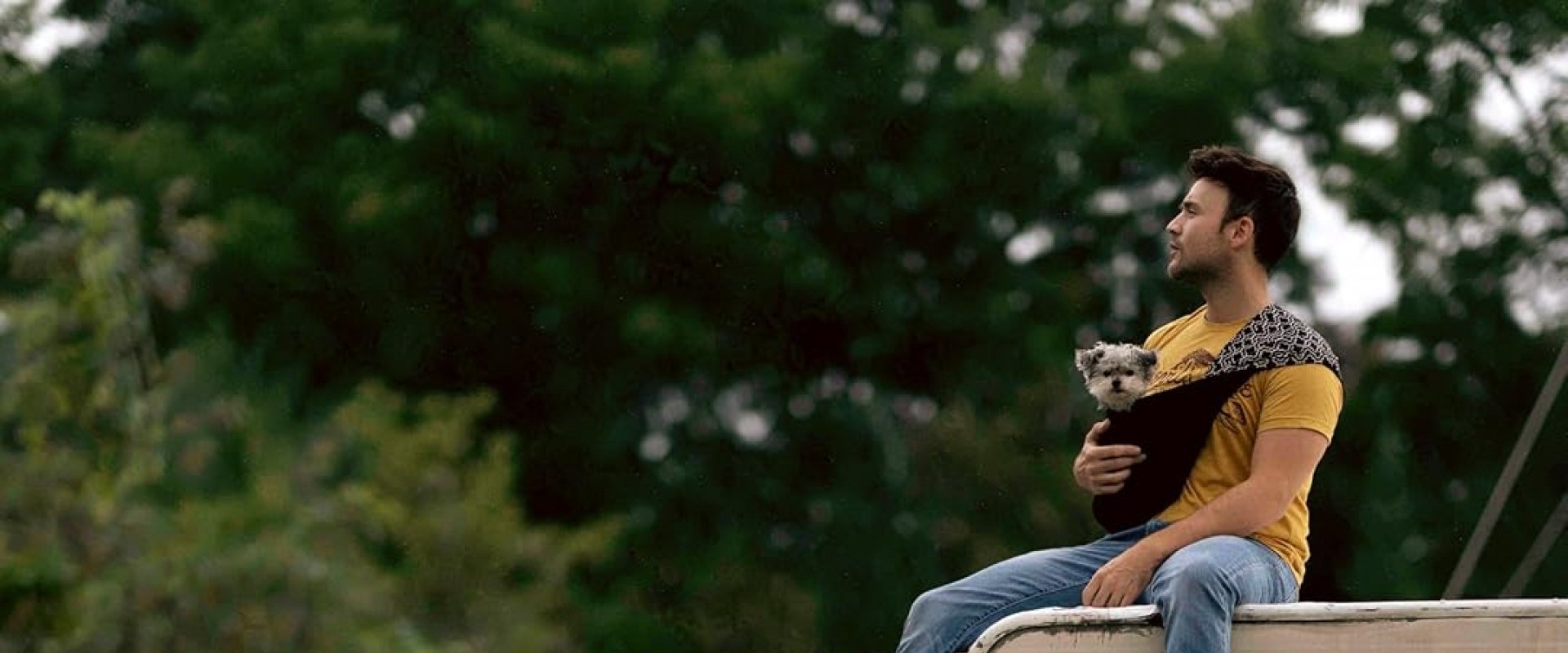 Dogs on the Sendero 2024