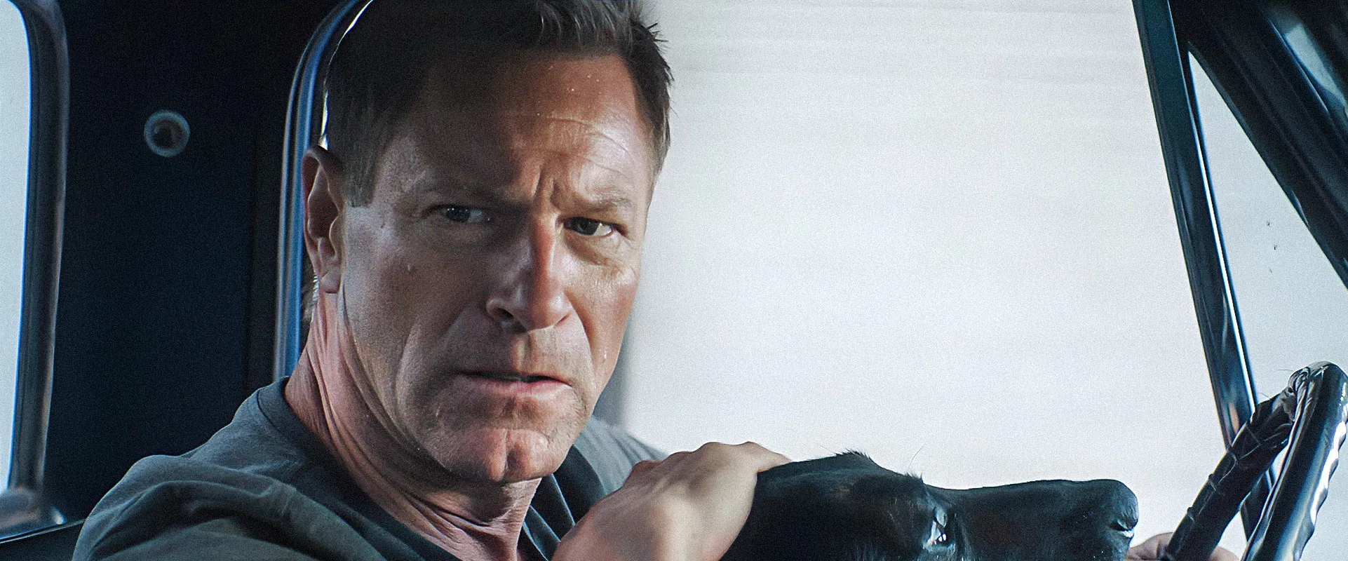 Muzzle: City of Wolves 2025