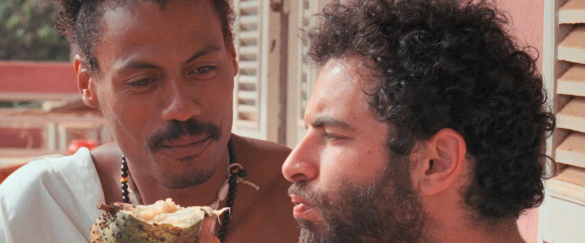 I Only Rest in the Storm 2025