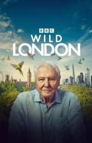 دانلود فیلم Wild London 2026 بدون سانسور با زیرنویس فارسی چسبیده