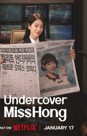 دانلود سریال خانم هونگ نفوذی Undercover Miss Hong بدون سانسور با زیرنویس فارسی چسبیده